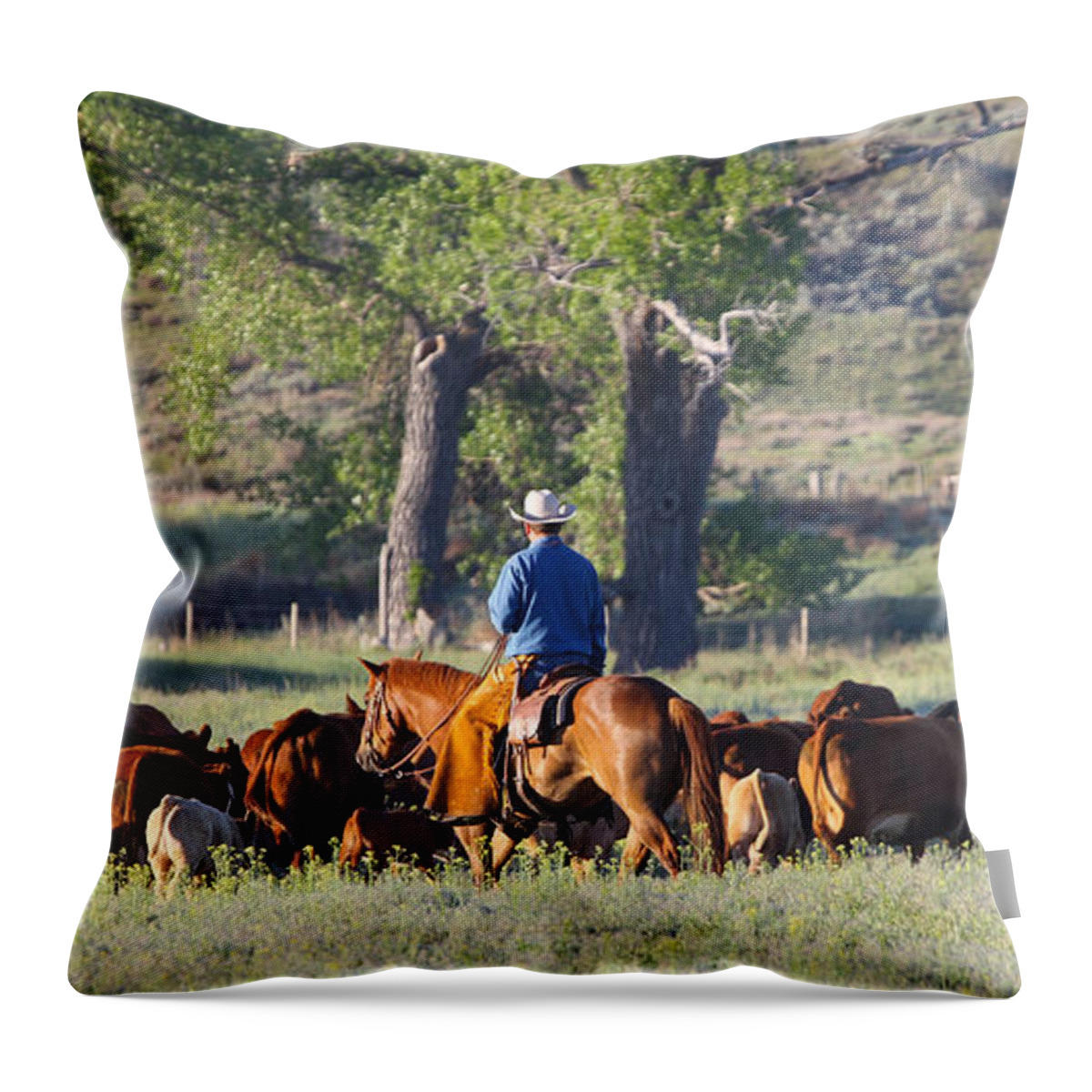 Wyoming 2014 Throw Pillow featuring the photograph Wyoming Country by Diane Bohna
