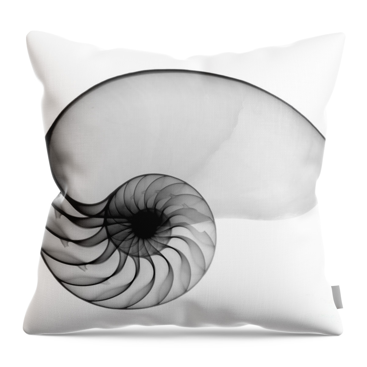 Radiograph Throw Pillow featuring the photograph X-ray Of Nautilus by Bert Myers