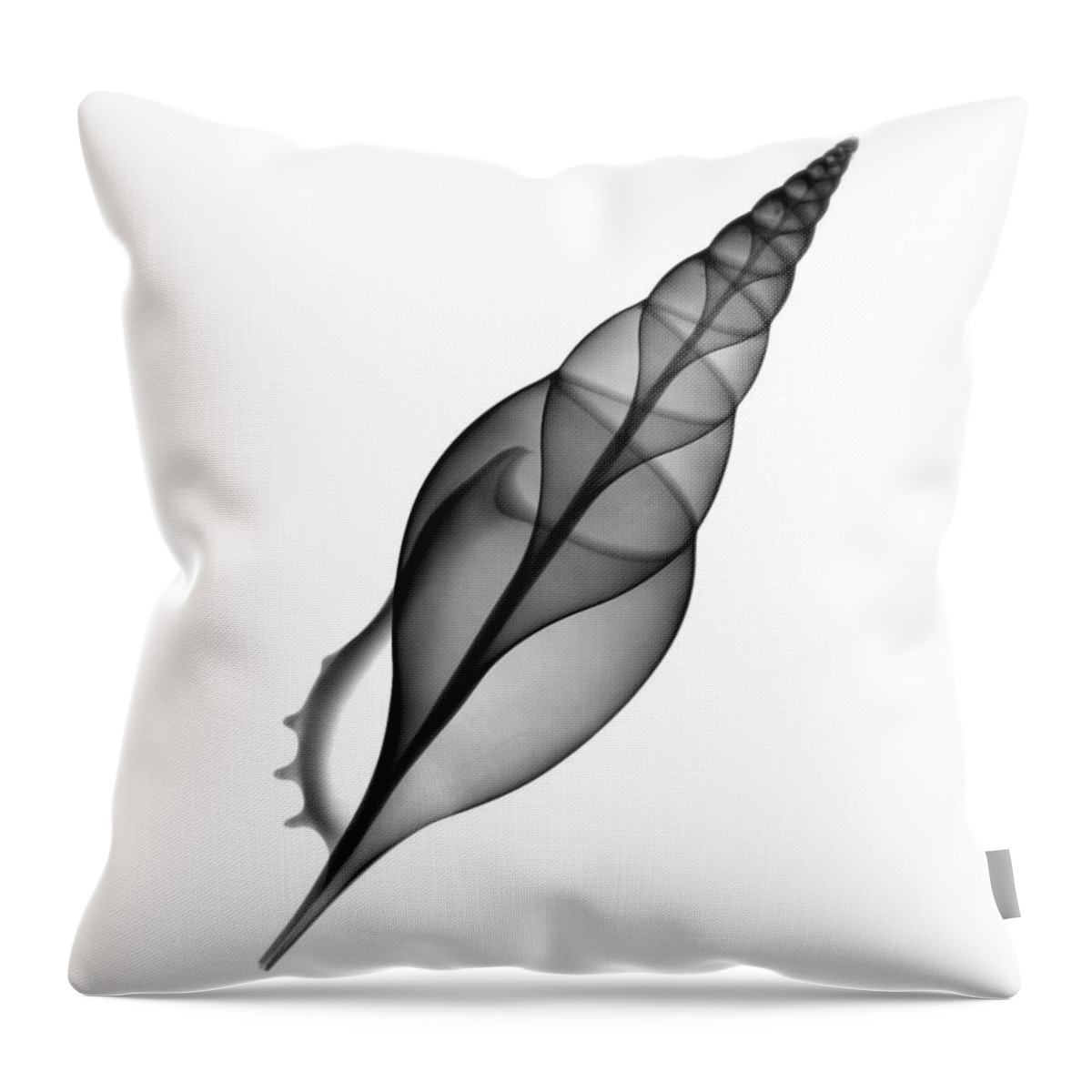 Radiograph Throw Pillow featuring the photograph X-ray Of Tibia Shell by Bert Myers
