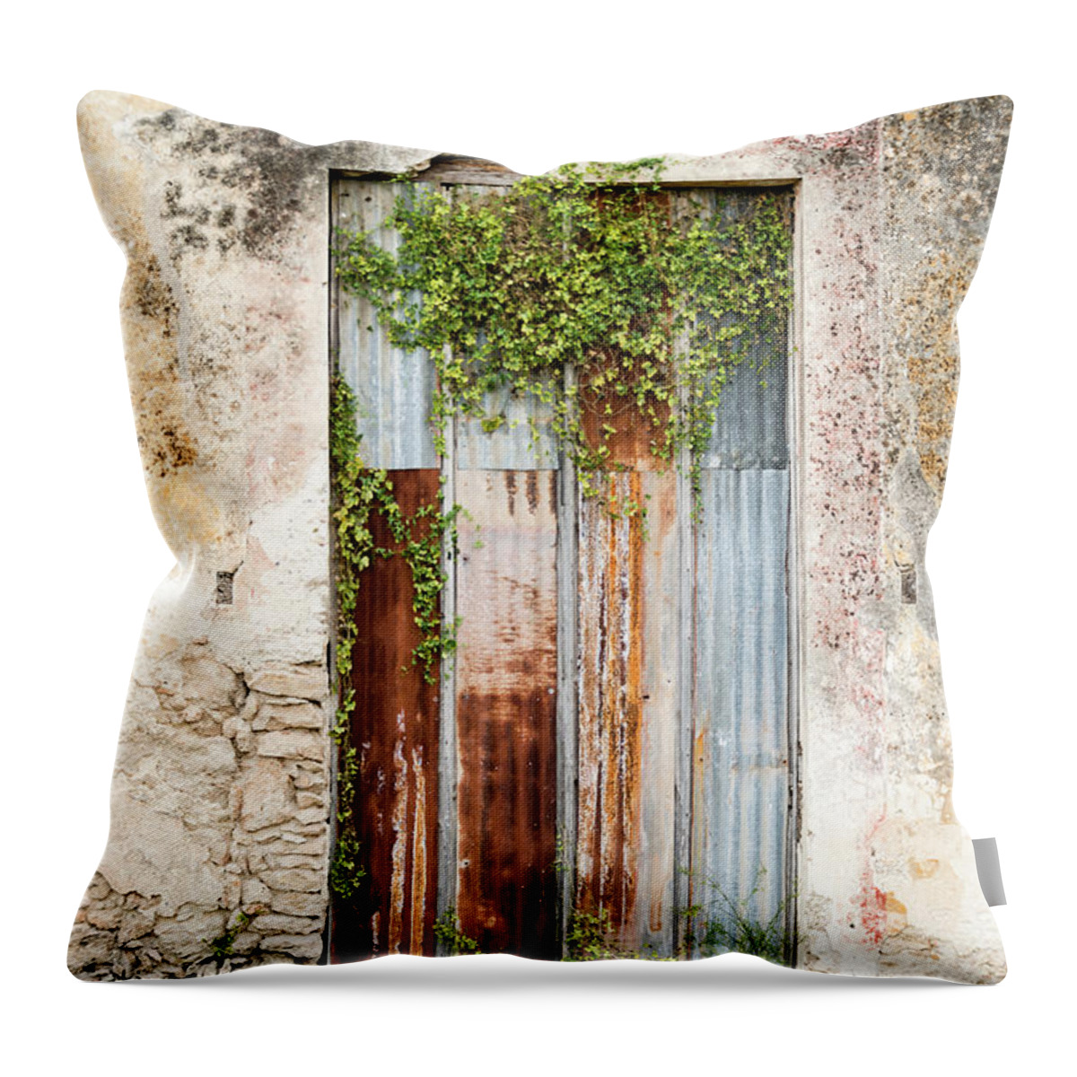 Steps Throw Pillow featuring the photograph Xxxl Old Weathered Door On Deterioting by Ogphoto