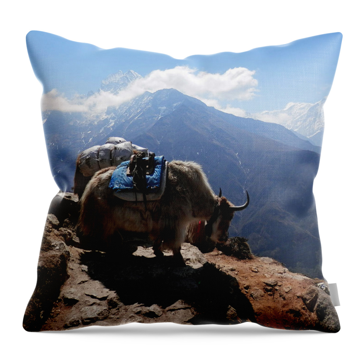 Yak Throw Pillow featuring the photograph Yaks 1A by Pema Hou