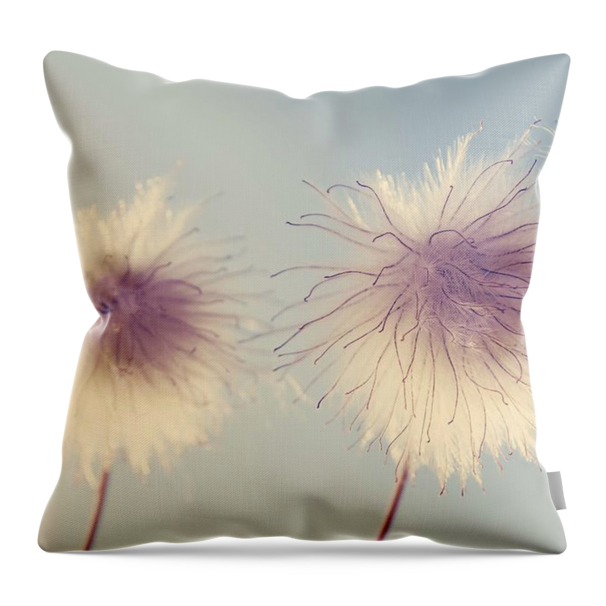 Flower Throw Pillow featuring the photograph Years I could by J C