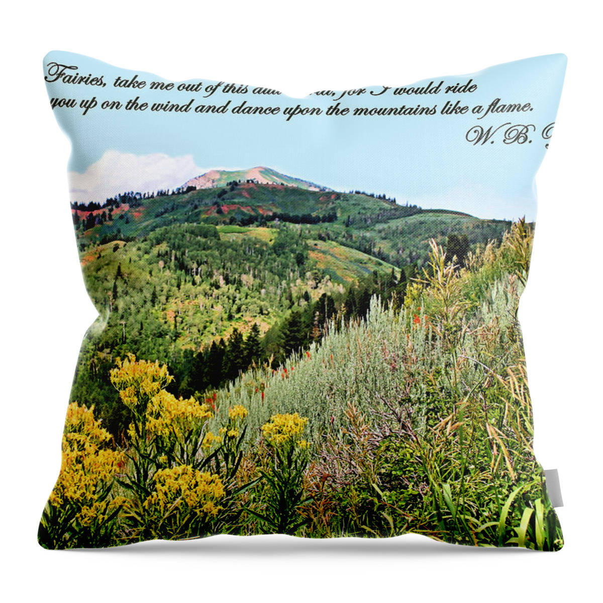 Yeats Throw Pillow featuring the photograph Yeats by Kristin Elmquist