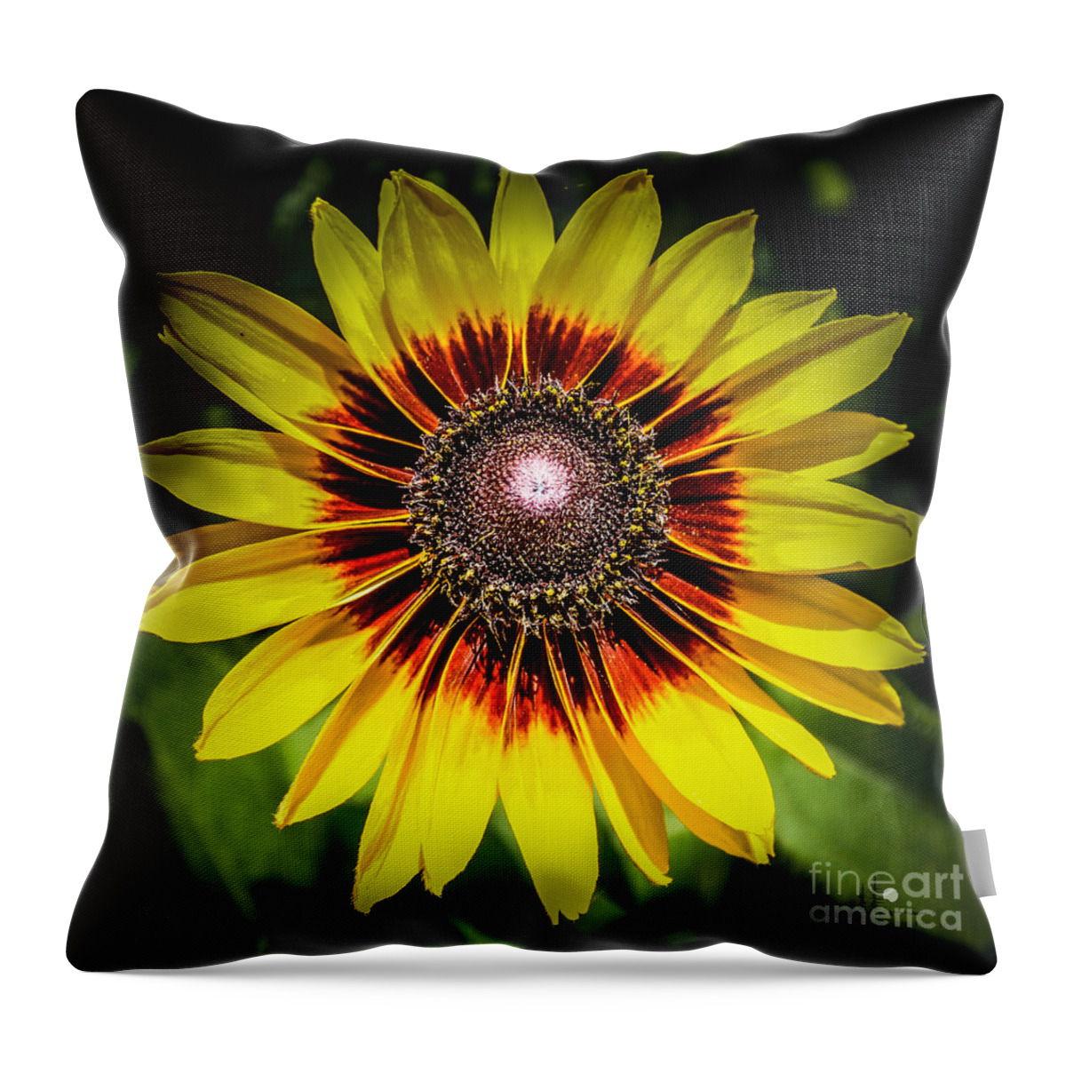 Yellow Throw Pillow featuring the photograph Yellow and Rust by Ronald Grogan