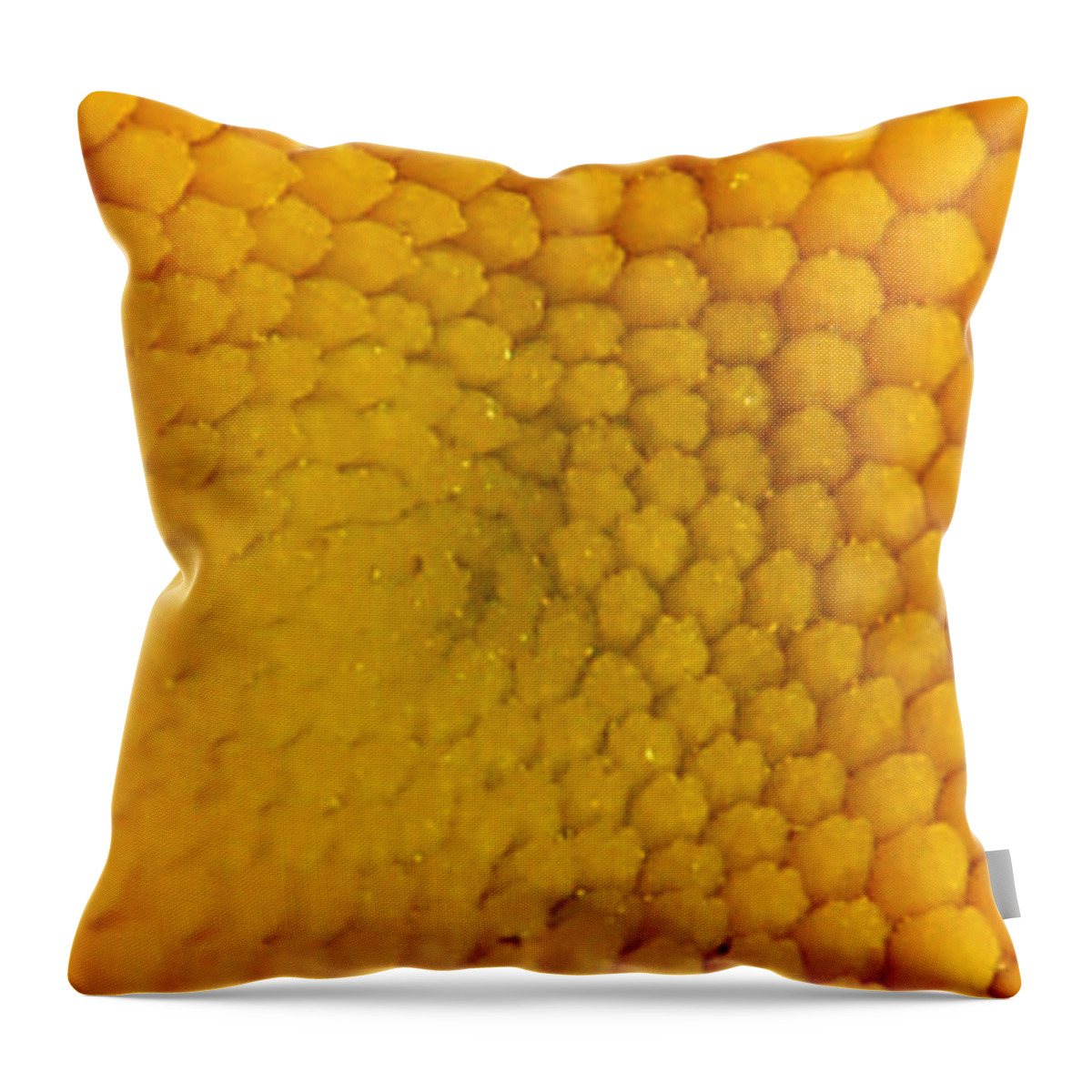 Yellow Throw Pillow featuring the photograph Yellow by Prince Andre Faubert