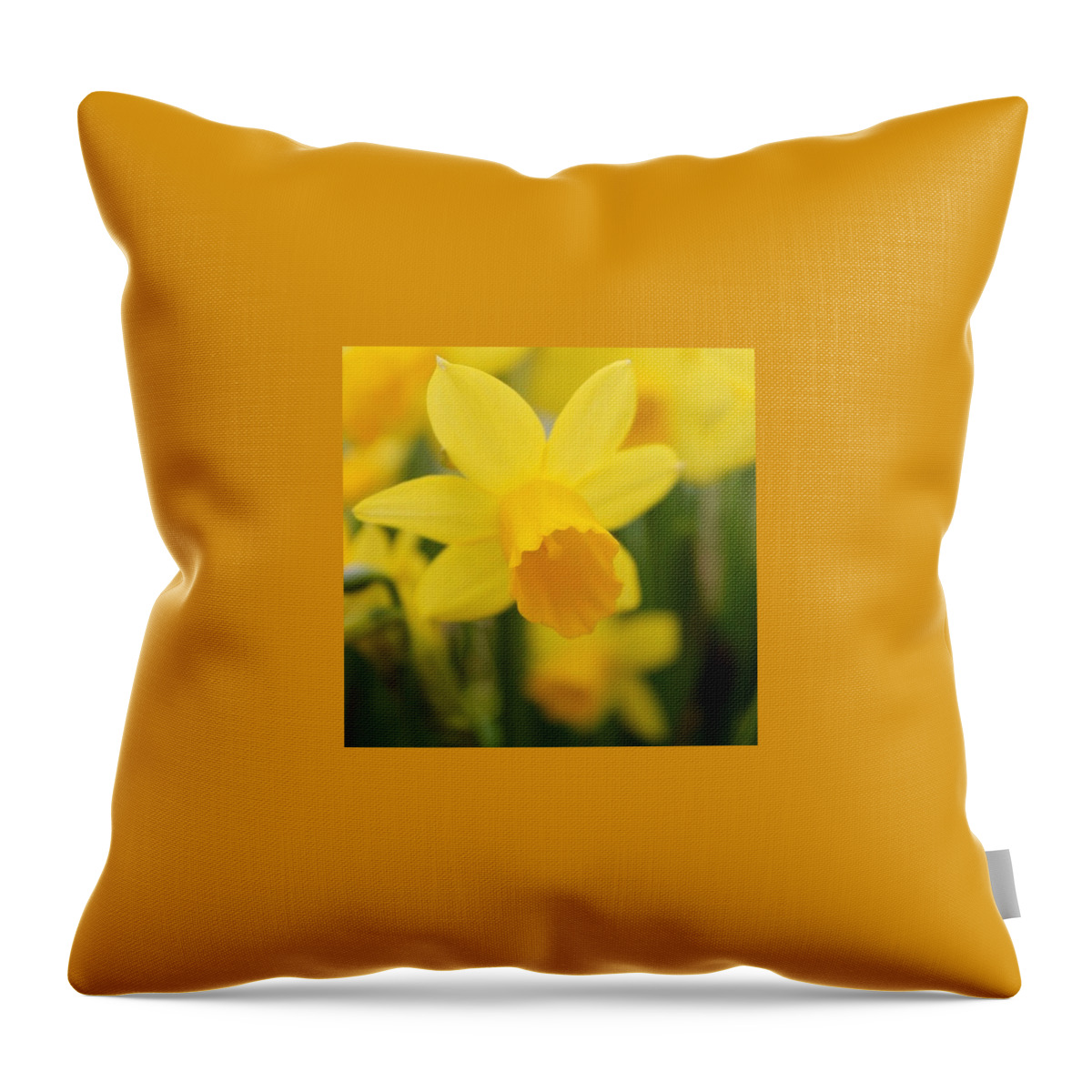 Yellow Throw Pillow featuring the photograph Yellow Bloom by Justin Connor