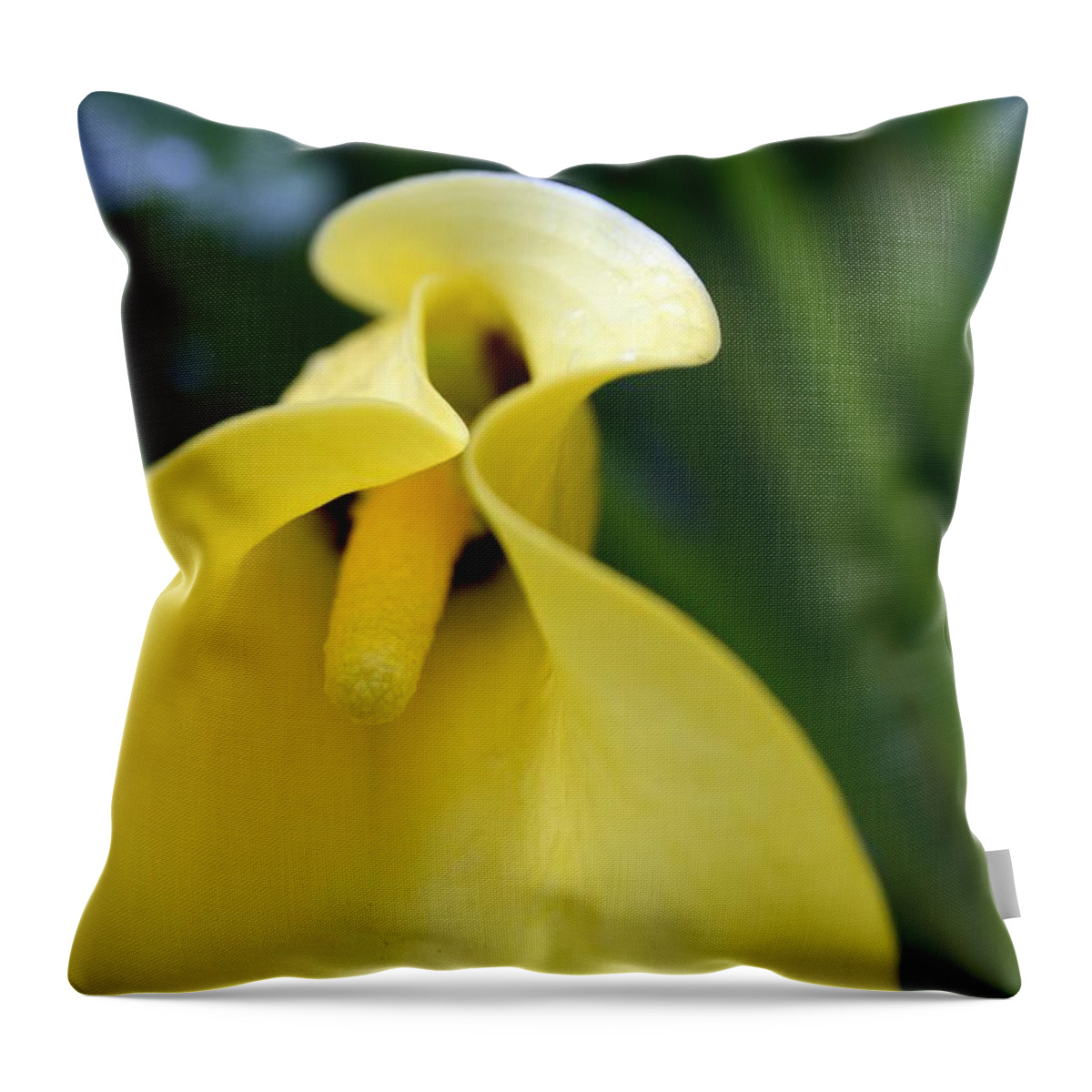 Yellow Throw Pillow featuring the photograph Yellow Calla Lily by Lynellen Nielsen