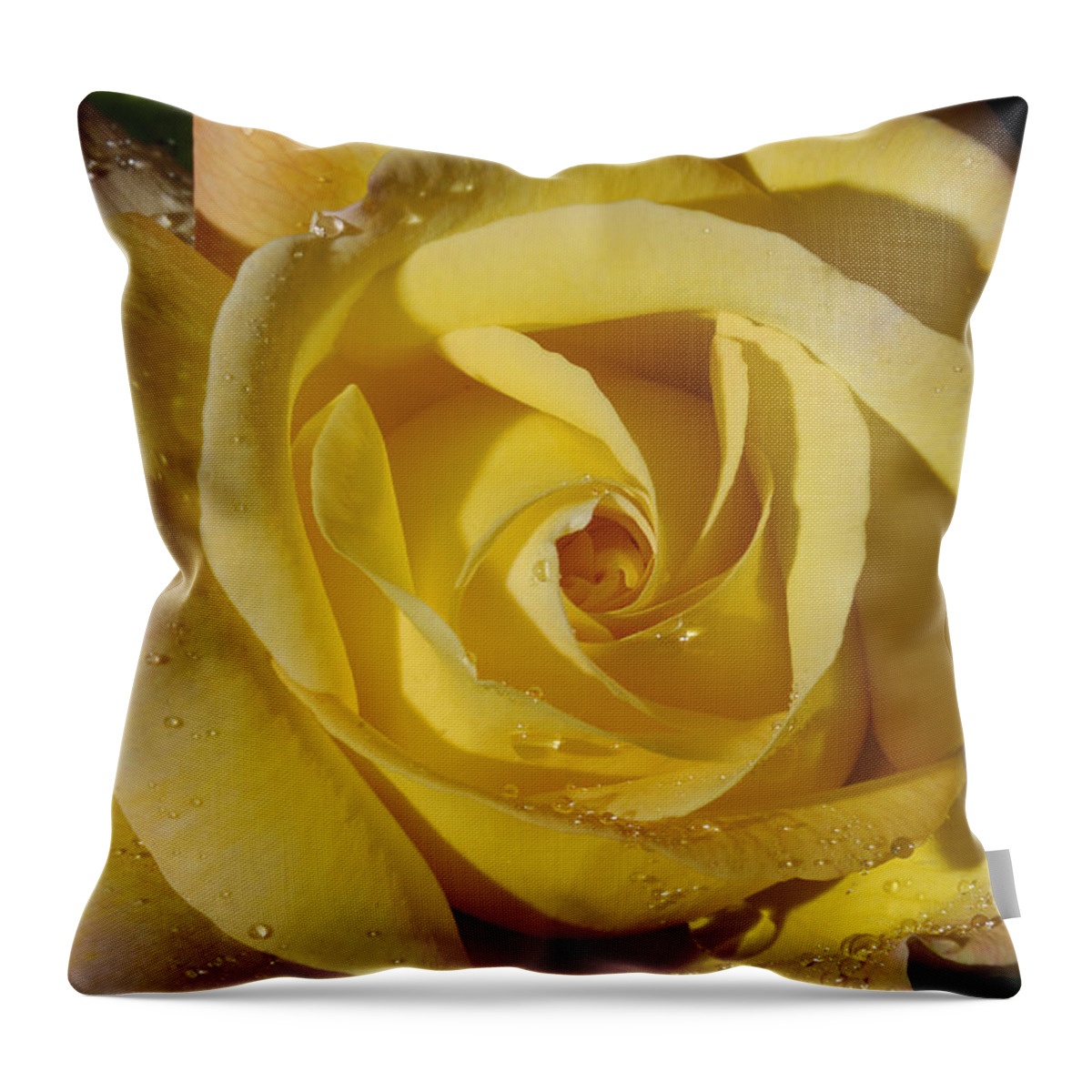 Rose Throw Pillow featuring the photograph Yellow Crisp by Arthur Fix