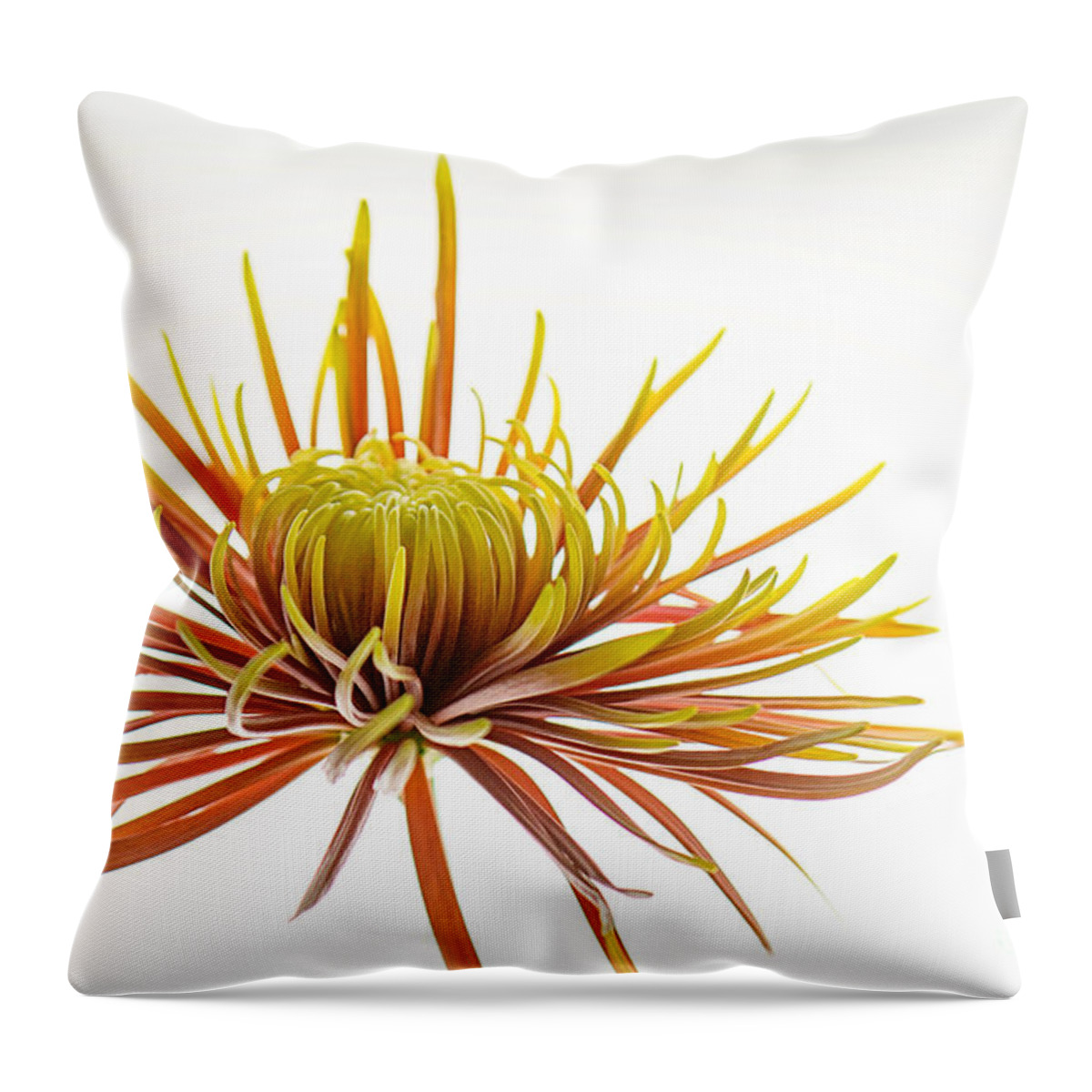 Yellow Throw Pillow featuring the photograph Yellow Dahlia by Rebecca Cozart