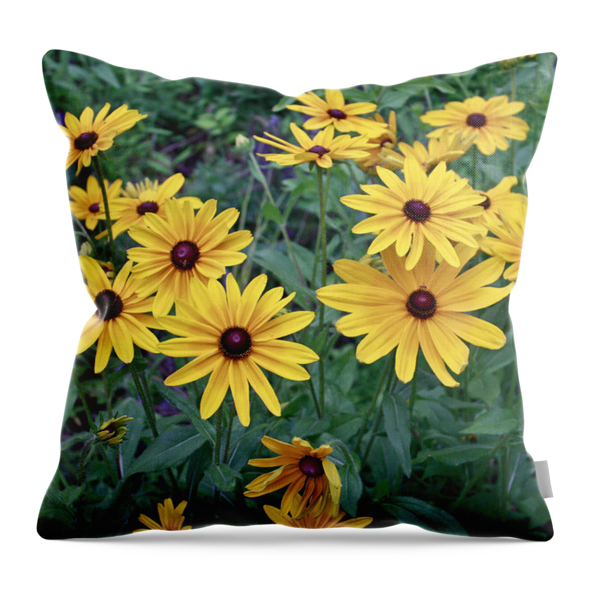 Flowers Throw Pillow featuring the photograph Yellow Daisy Flowers #3 by Ann Murphy