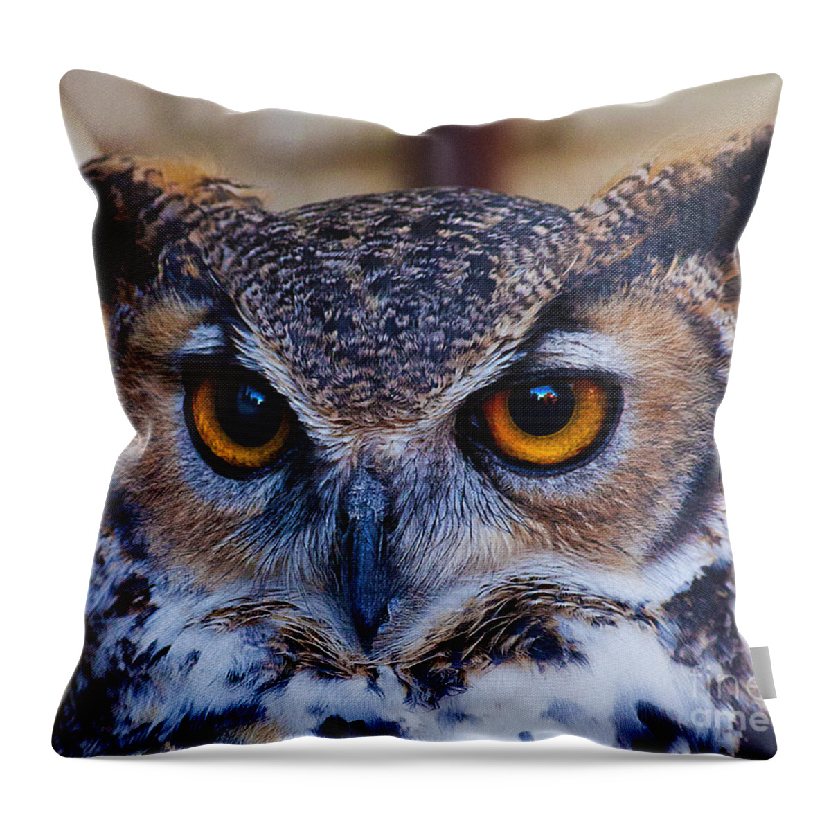 Wise Owl Photographs Print Throw Pillow featuring the photograph Yellow Eyed Wise Old Owl by Jerry Cowart