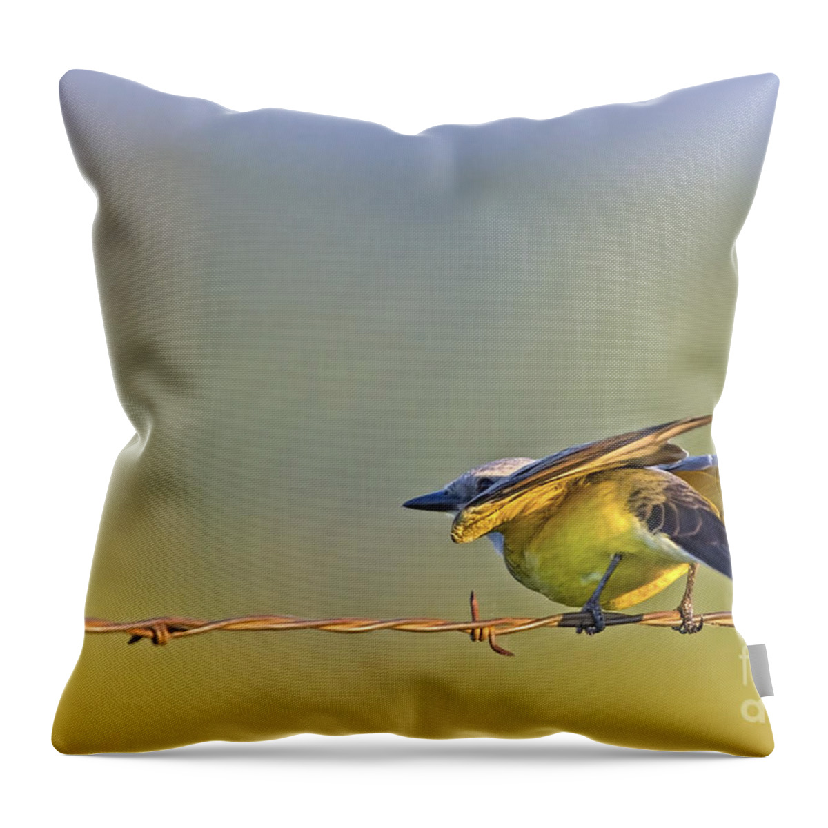 Yellow Flasher Throw Pillow featuring the photograph Yellow Flasher by Gary Holmes
