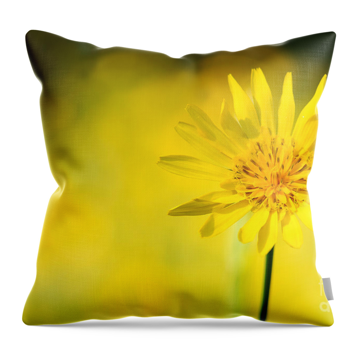 Flower Throw Pillow featuring the photograph Yellow flower by Christine Sponchia