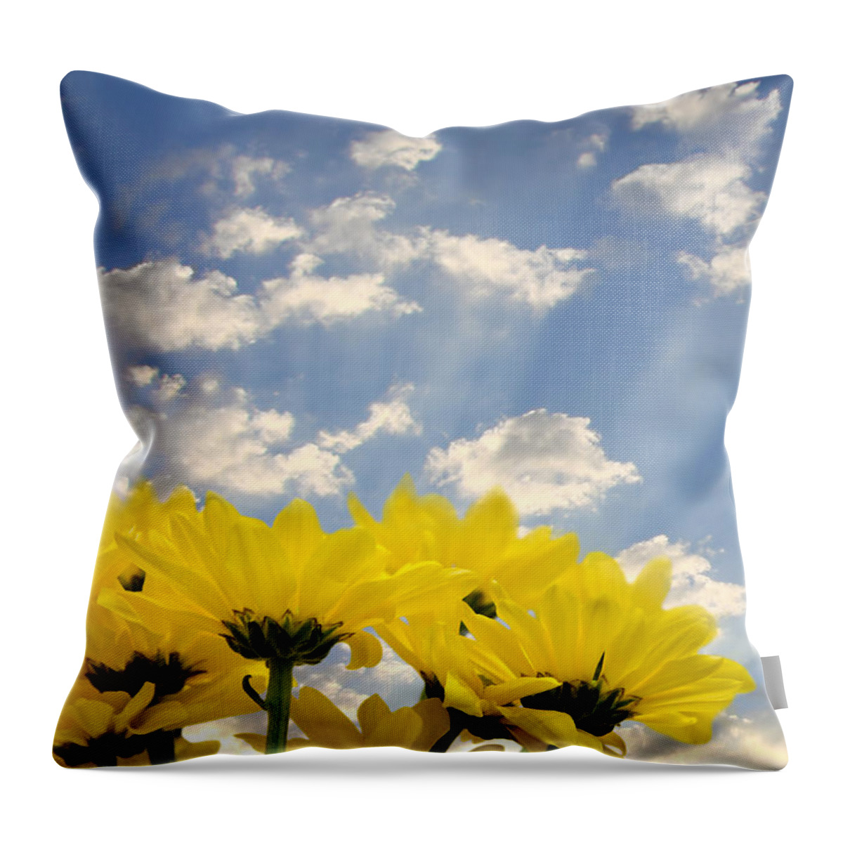 Yellow Throw Pillow featuring the photograph Yellow Flowers and Sky by Melinda Fawver