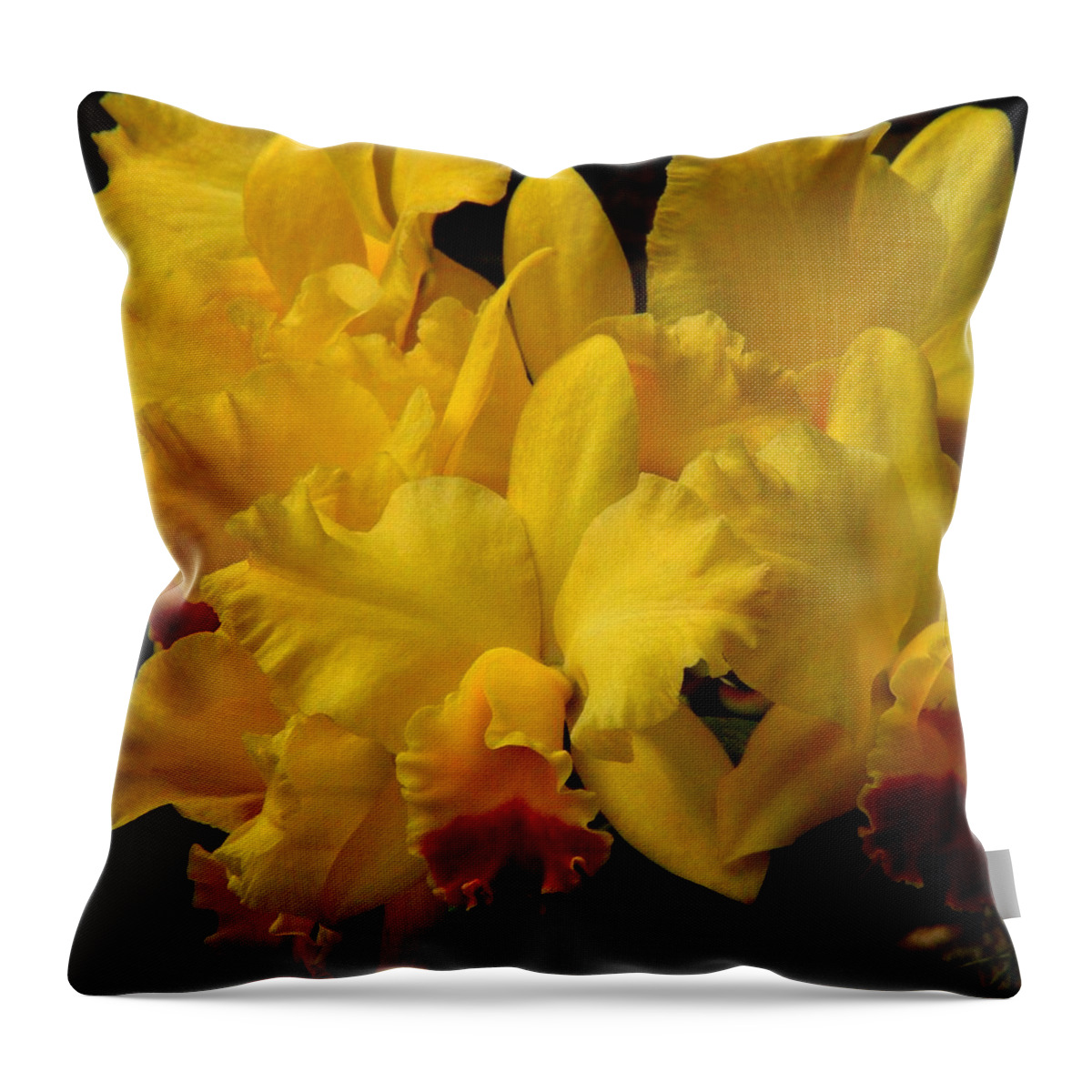 Fine Art Throw Pillow featuring the photograph Yellow Folds by Rodney Lee Williams