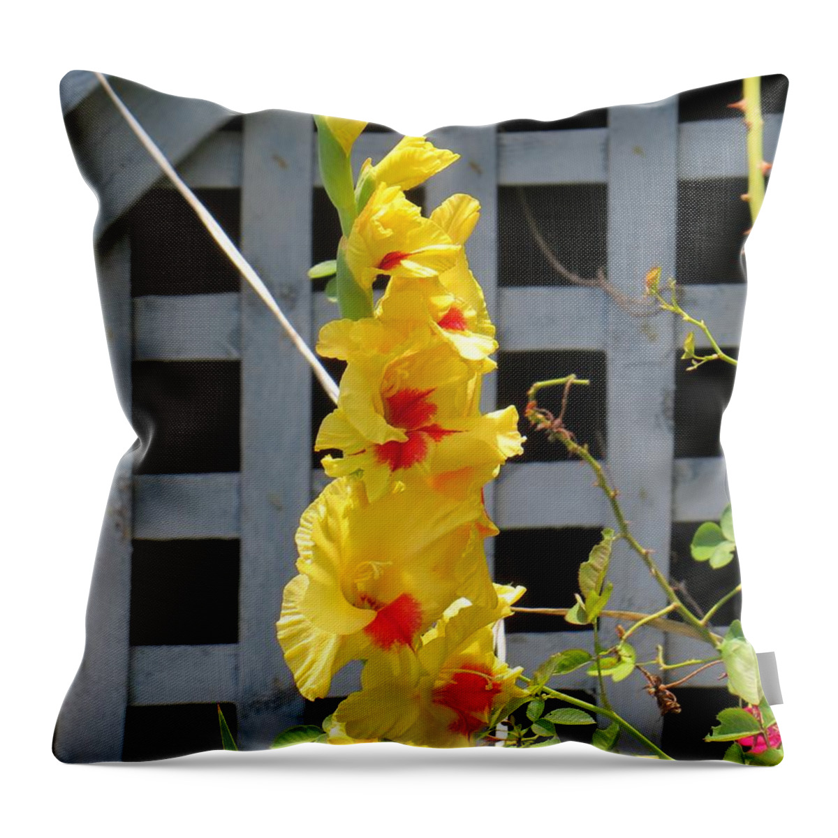 Gladiola Throw Pillow featuring the photograph Yellow Grandeur by Sonali Gangane