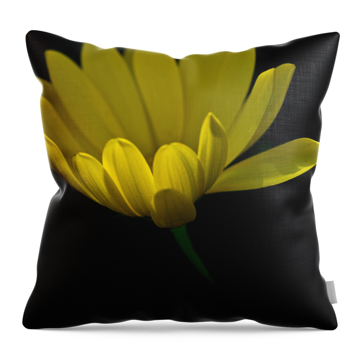 Flower Throw Pillow featuring the photograph Yellow Flower by Tom Gari Gallery-Three-Photography
