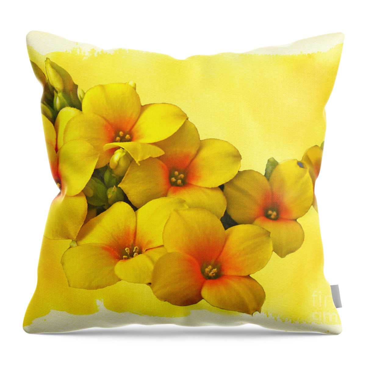 Yellow Throw Pillow featuring the photograph Yellow Kalanchoe - Succulent Sunshine by Carol Senske