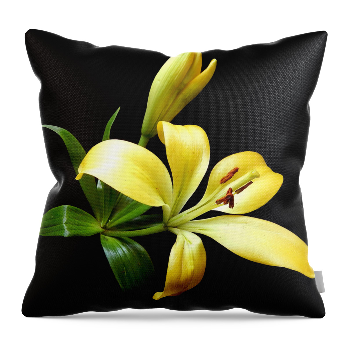 Flowers Throw Pillow featuring the photograph Yellow Lily I Still Life Flower Art Poster by Lily Malor