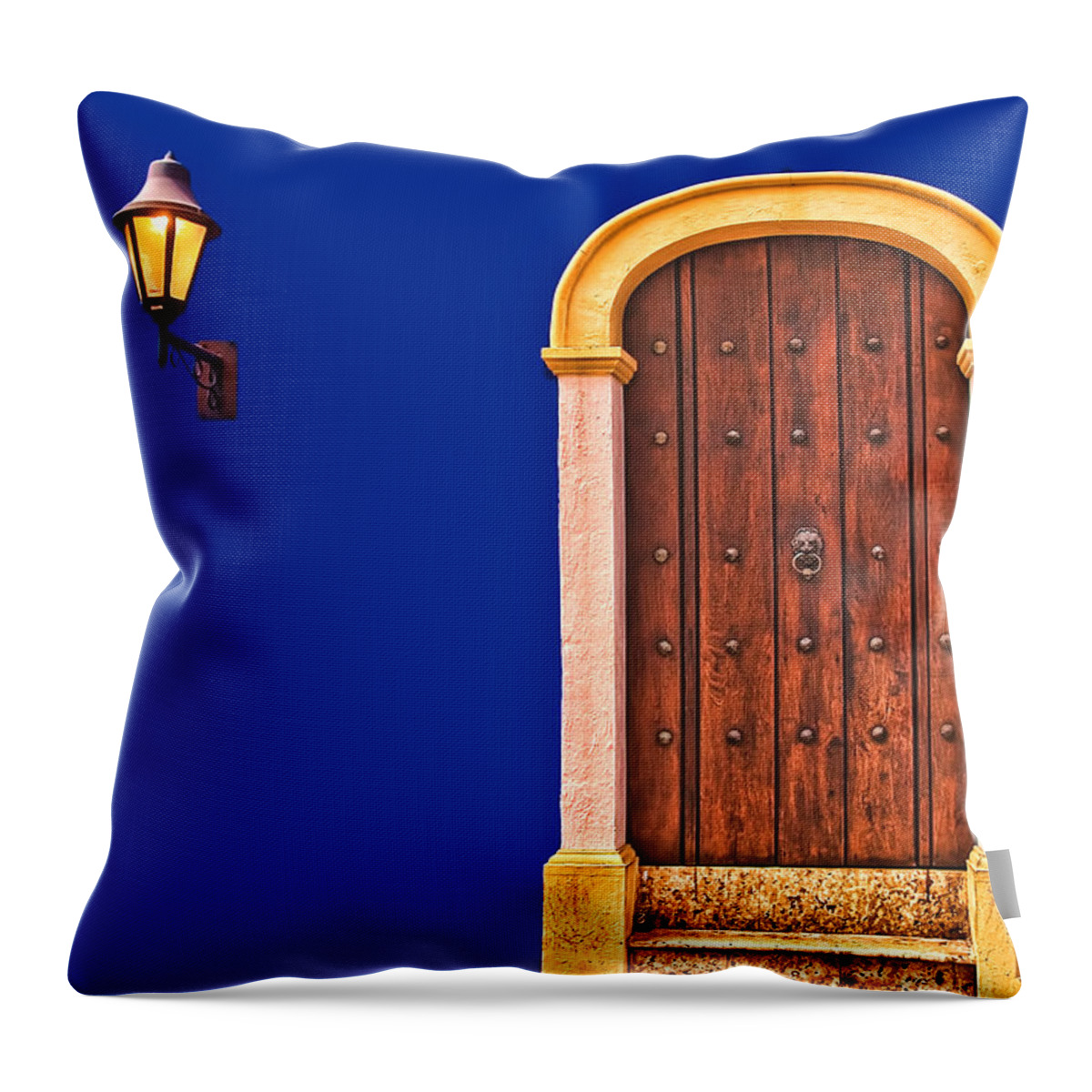 Architecture Throw Pillow featuring the photograph Door and Lamp by Maria Coulson