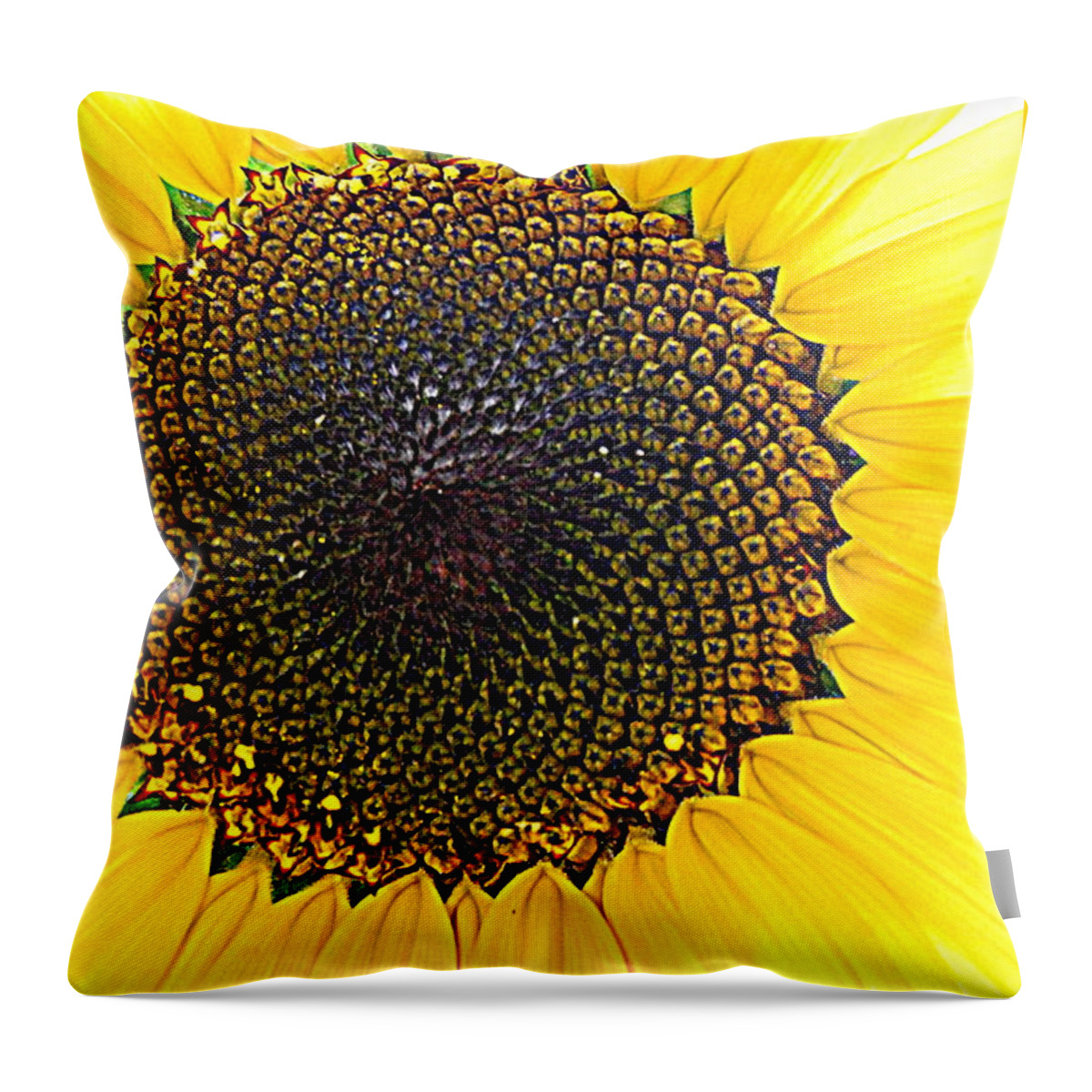 Yellow Throw Pillow featuring the photograph Sunny And Bright Sunflower by Eunice Miller