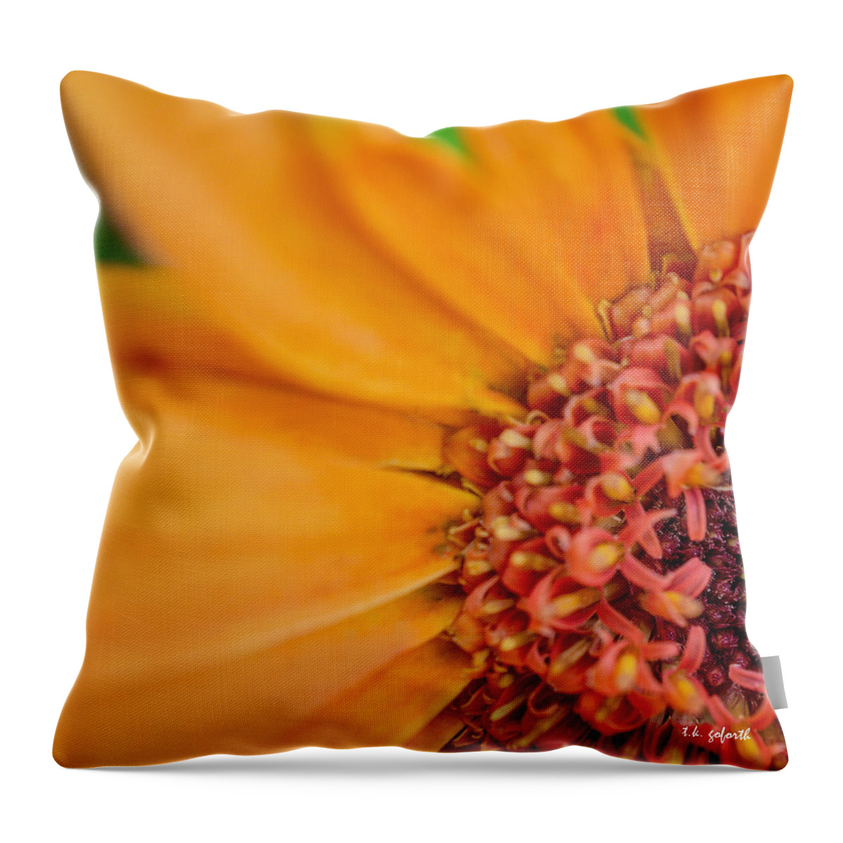 Orange Flower Throw Pillow featuring the photograph Yellow Orange Gerbera Squared by TK Goforth