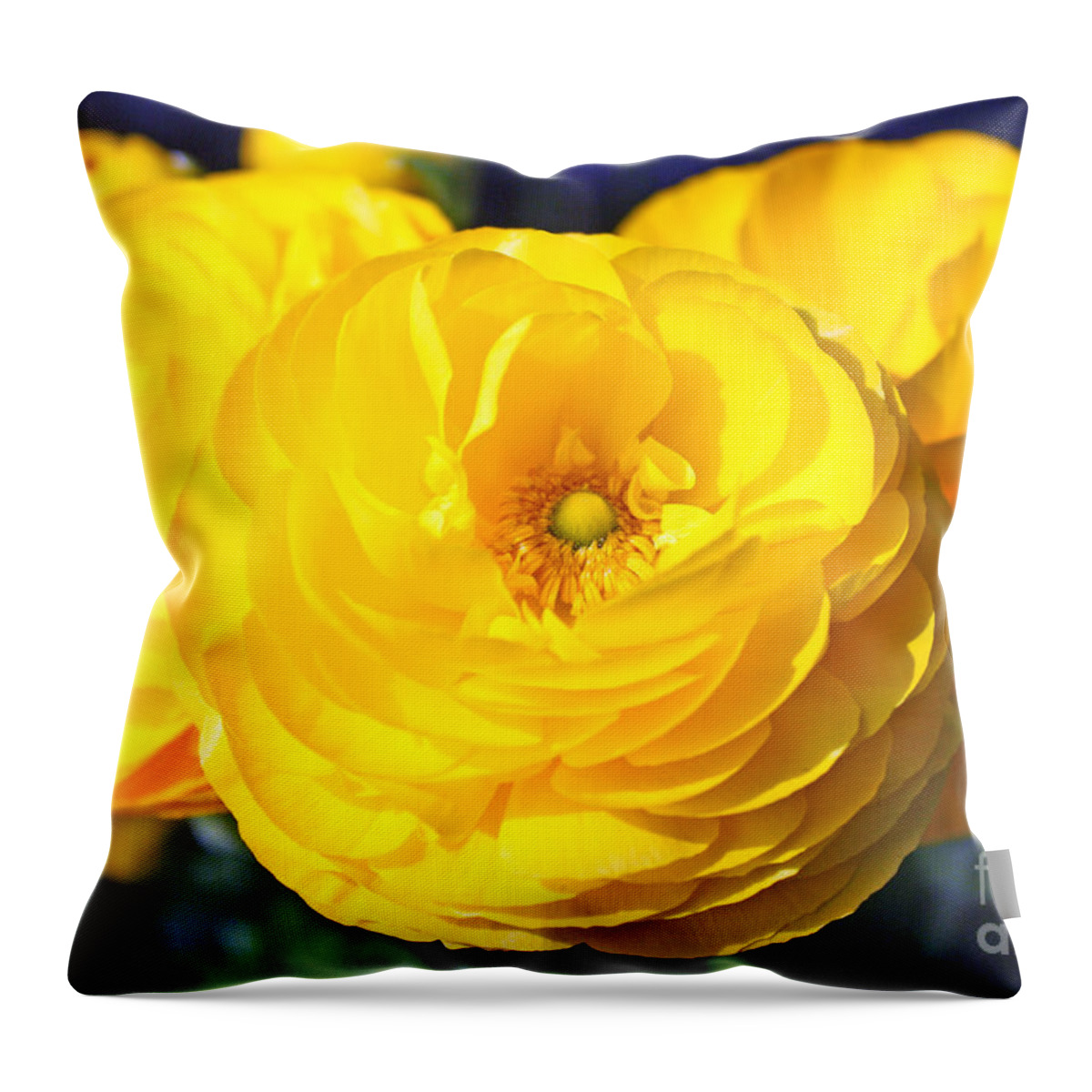 Peony Throw Pillow featuring the photograph Yellow Peonies by Kelly Holm