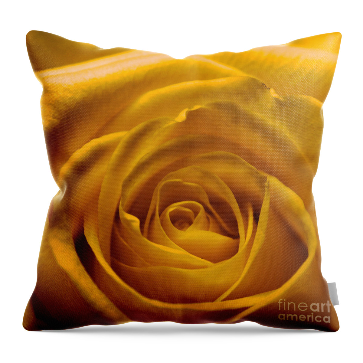 Love Throw Pillow featuring the photograph Yellow Rose by Amanda Mohler