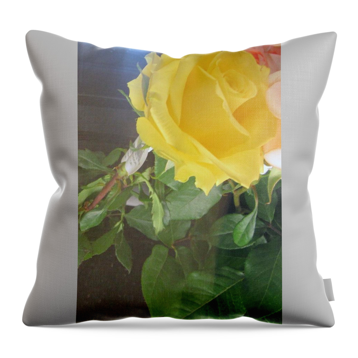 Landscape Throw Pillow featuring the photograph Yellow Rose- greeting Card by Glenda Crigger