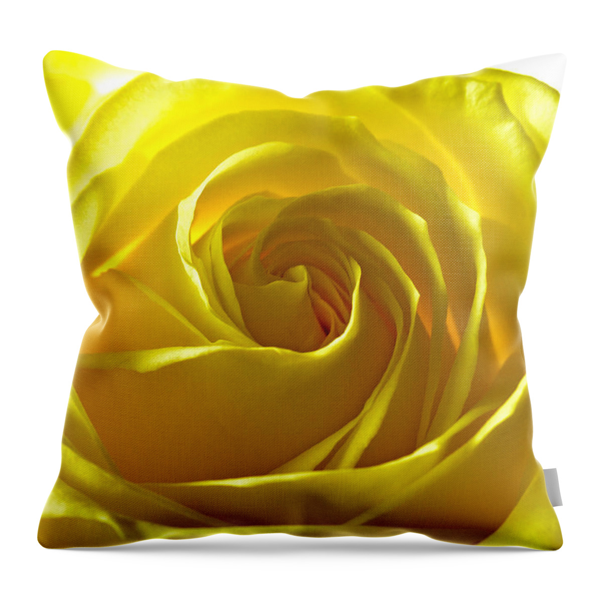 Rose Throw Pillow featuring the photograph Yellow Rose by Scott Carruthers