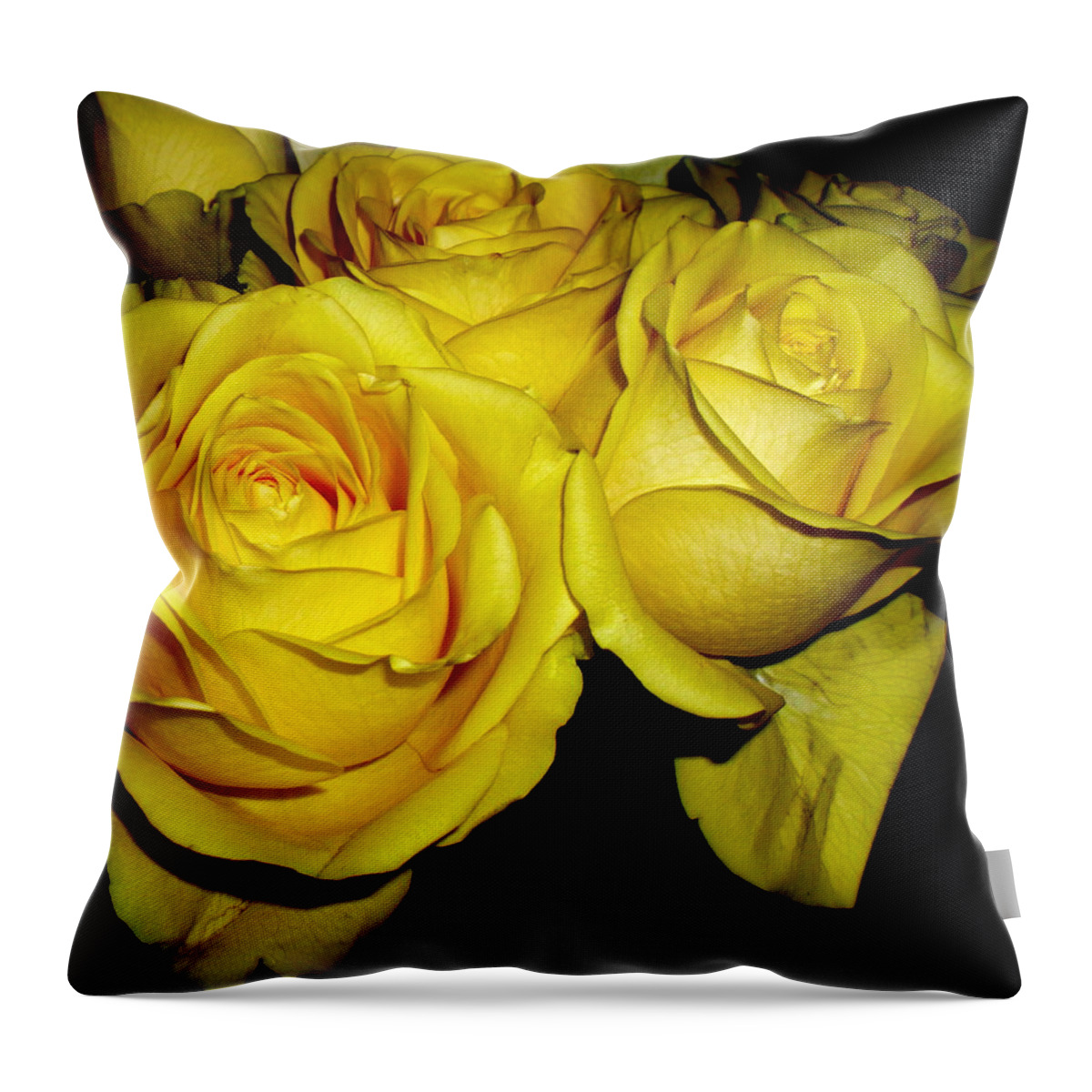 Floral Throw Pillow featuring the photograph Yellow Roses by Fred Wilson