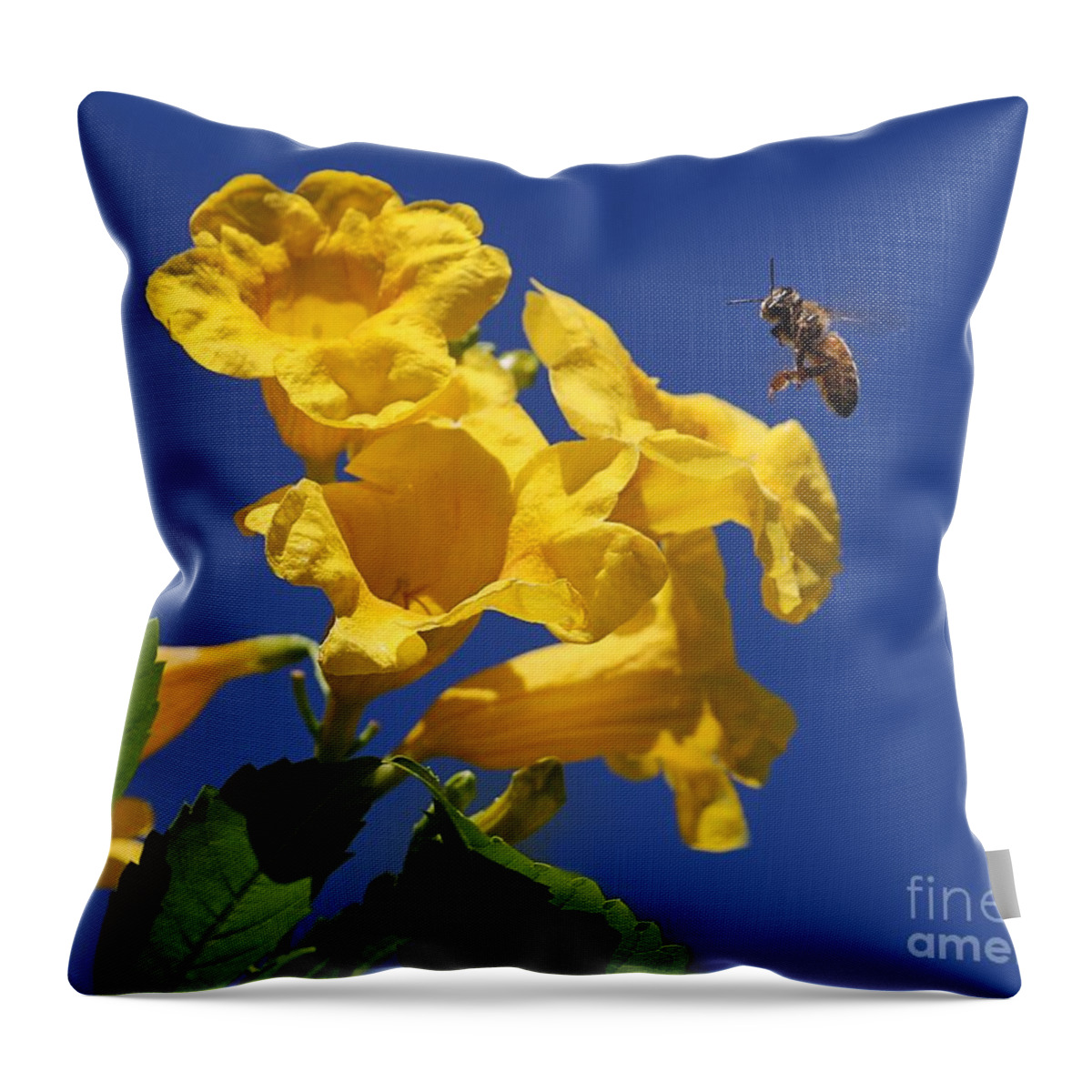 Yellow Trumpet Throw Pillow featuring the photograph Yellow Trumpet and Bee by Kim Yarbrough