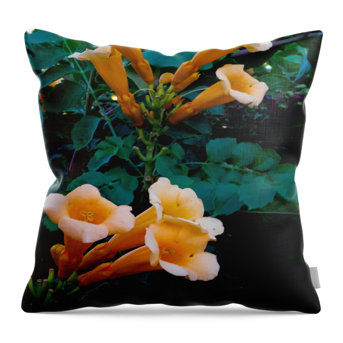 Trumpet Flower Throw Pillow featuring the photograph Yellow Trumpet Creeper Duo by Tony Grider