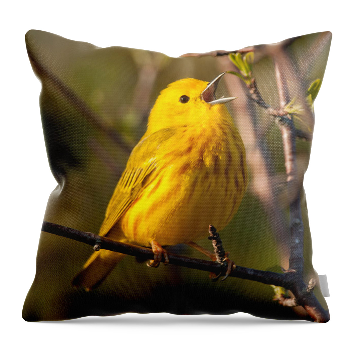 Bird Throw Pillow featuring the photograph Yellow Warbler Singing by Richard Kitchen