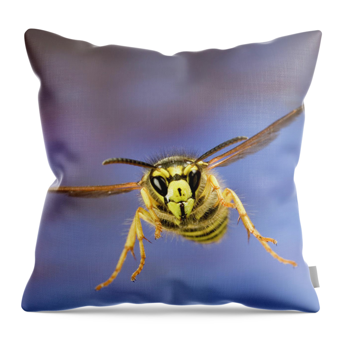00640274 Throw Pillow featuring the photograph Yellowjacket Flying by Michael Durham