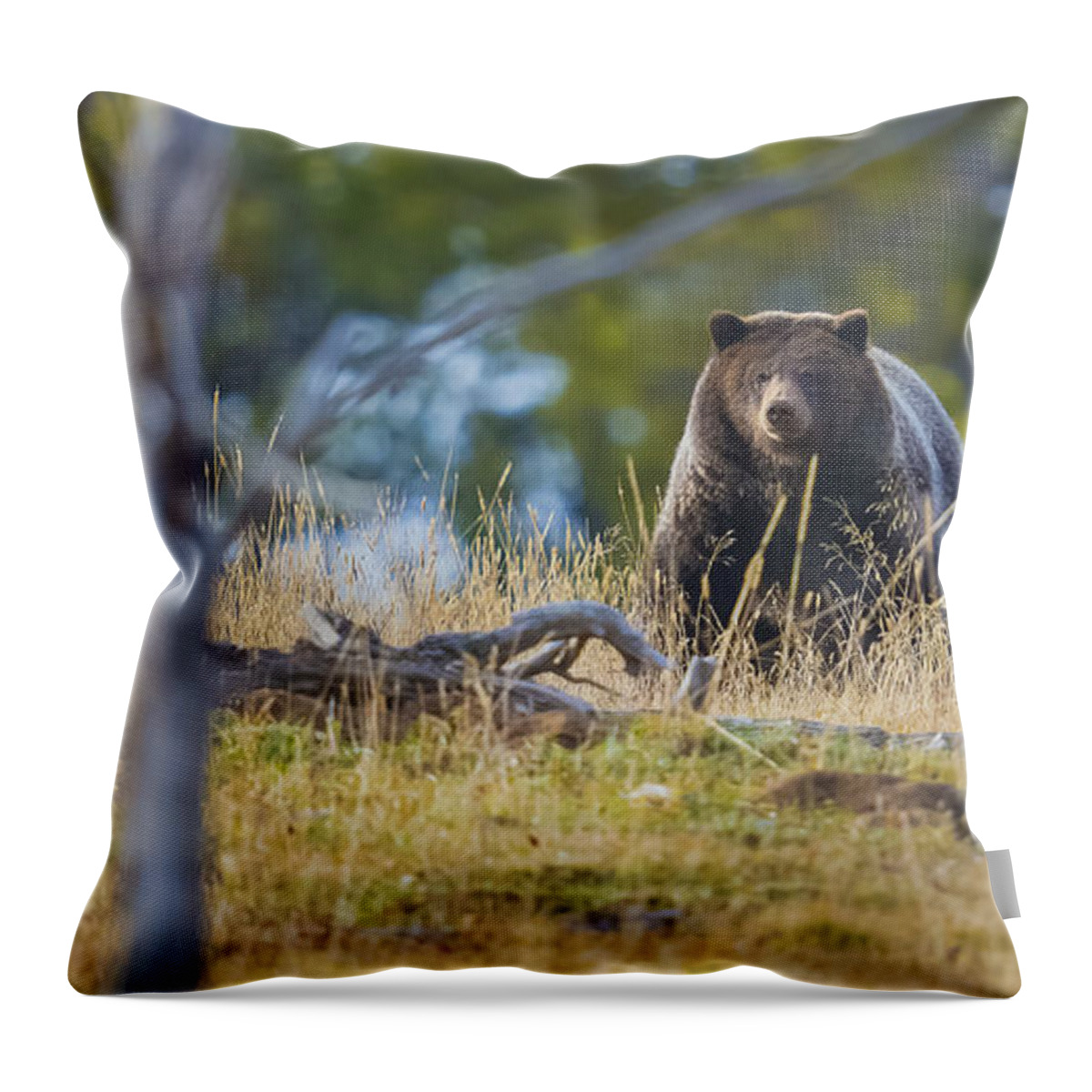 Grizzly Throw Pillow featuring the photograph Yellowstone Grizzly Coming Over Hill by Greig Huggins