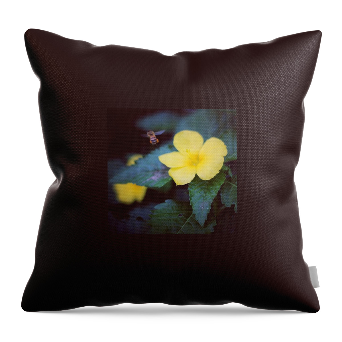 Bamboo Bee Throw Pillow featuring the photograph Flower and bee by Teddy Marcos