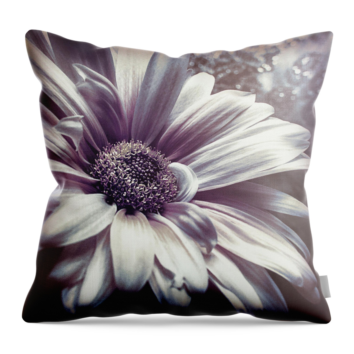 Floral Throw Pillow featuring the photograph Yesterday Morning by Darlene Kwiatkowski