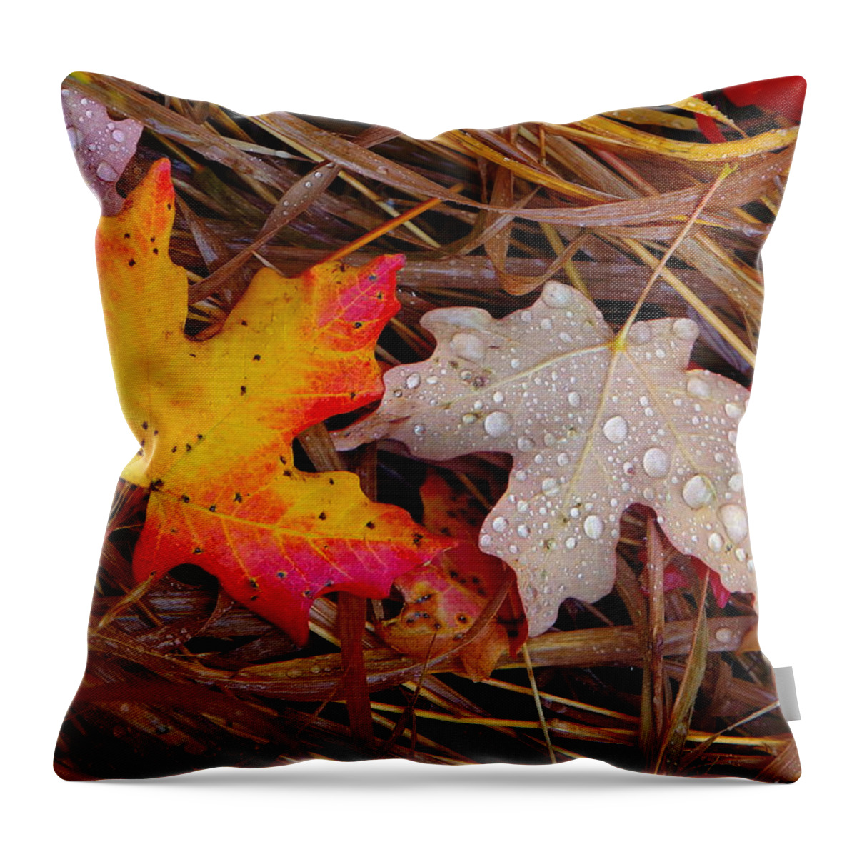 Autumn Leafs Throw Pillow featuring the photograph Yin Yang by David Andersen