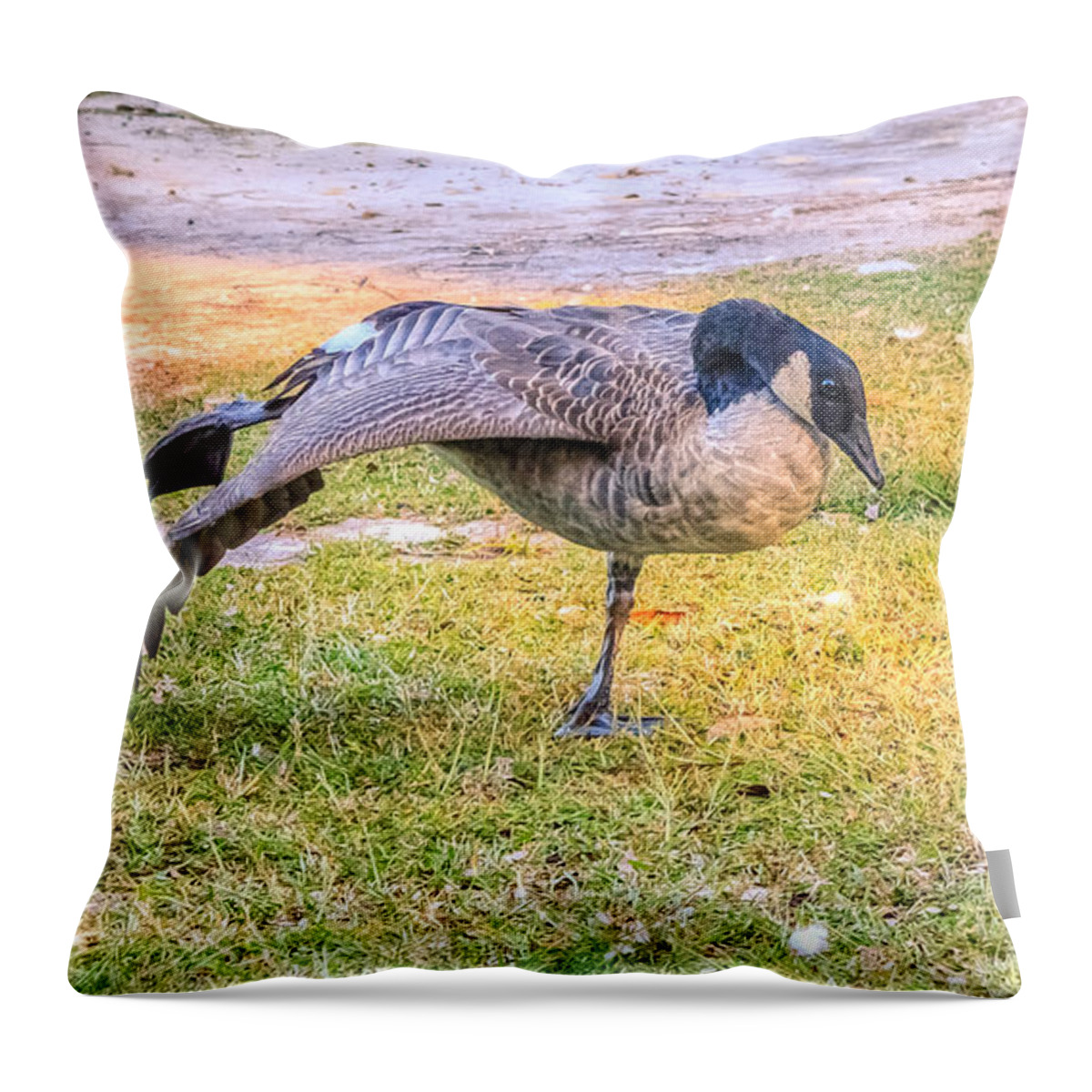 Animal Throw Pillow featuring the photograph Yoga Goose by Traveler's Pics