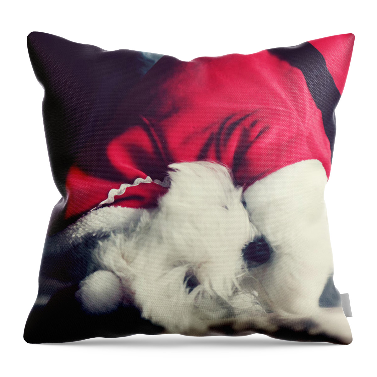 Dog Throw Pillow featuring the photograph Yoga Santa by Melanie Lankford Photography