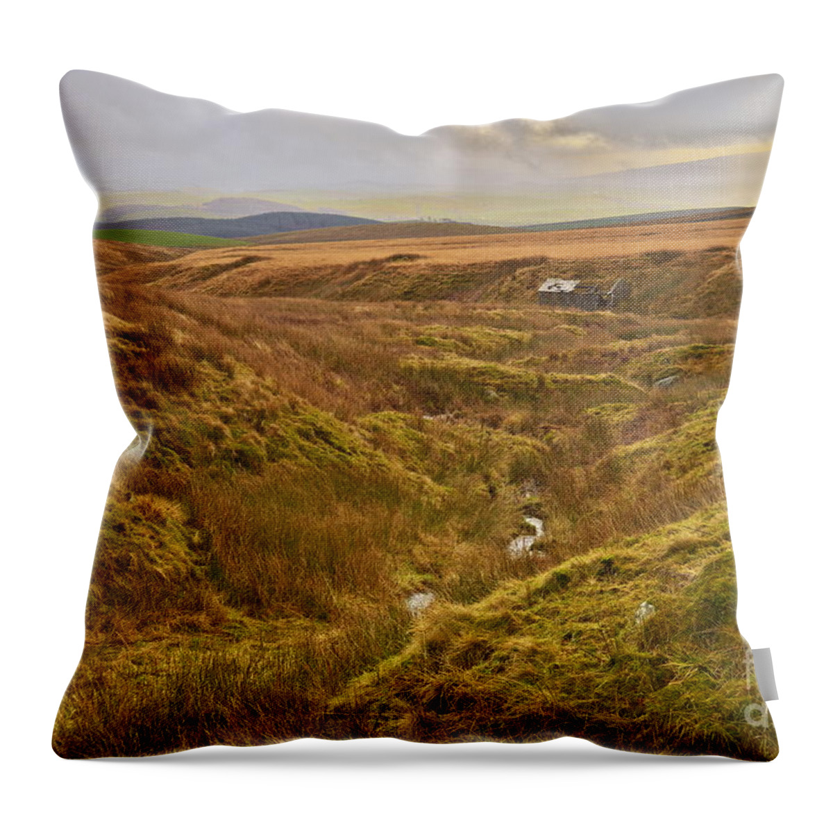 Yorkshire Throw Pillow featuring the photograph Yorkshire Dales Moorland by Martyn Arnold