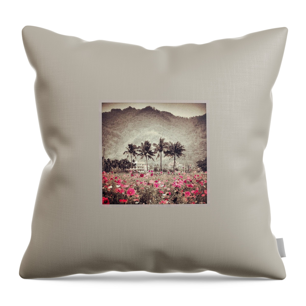 Palmtrees Throw Pillow featuring the photograph Pink And Black by Ashley Irwin