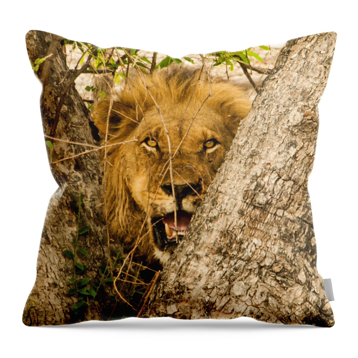 Africa Throw Pillow featuring the photograph You can't see me by Alistair Lyne