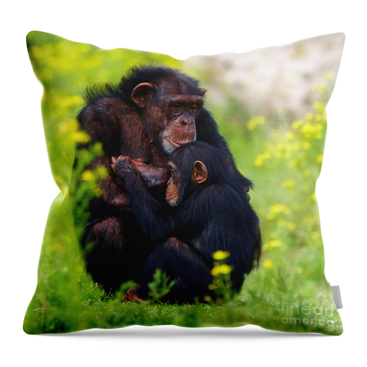 Chimpanzee Throw Pillow featuring the photograph Young Chimpanzee with adult - II by Nick Biemans