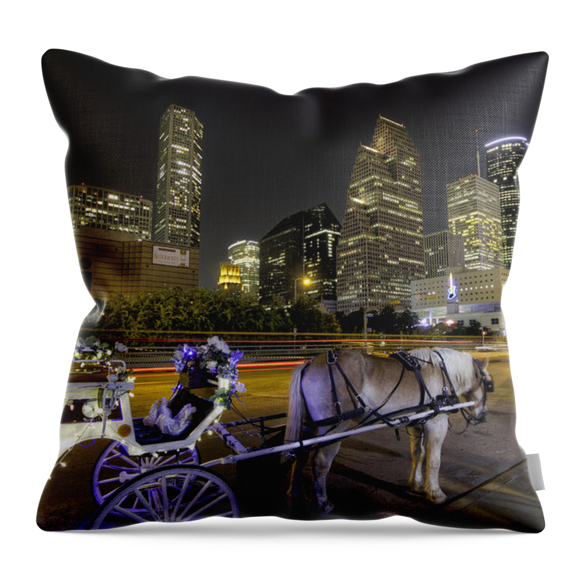 Aquarium Throw Pillow featuring the photograph Your Carriage Awaits by Tim Stanley