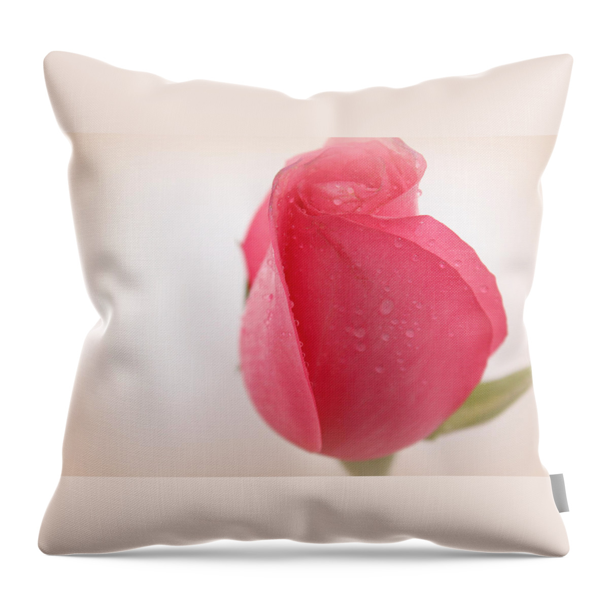 Rose Portrait Throw Pillow featuring the photograph Your Love is so Sweet by The Art Of Marilyn Ridoutt-Greene