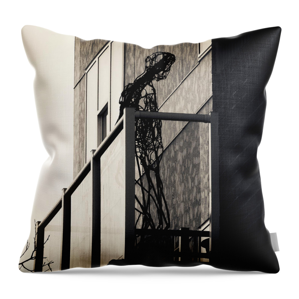 Cage Throw Pillow featuring the photograph Your Own Cage by Zinvolle Art