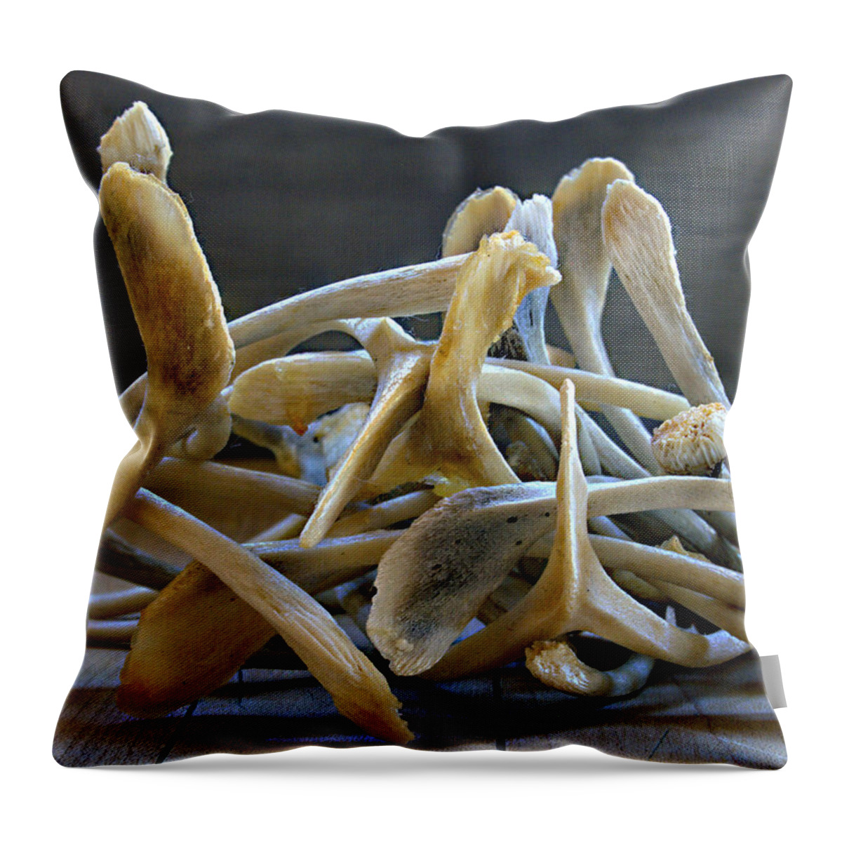 Wishes Throw Pillow featuring the photograph Your Wishes Await by Joe Schofield