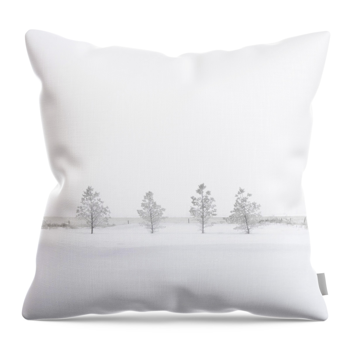Winter Throw Pillow featuring the photograph You're Hardly There by Sandra Parlow